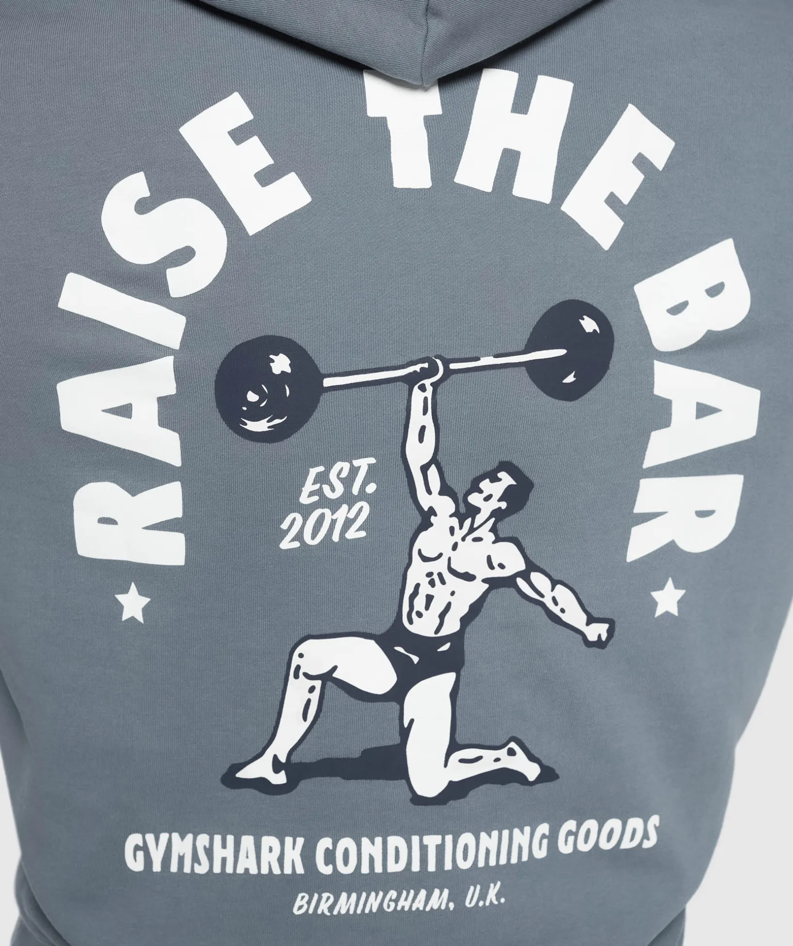 Raise the Bar Hoodie